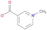 1-Methylpyridinium-3-carboxylate