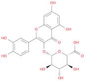 Quercetin 3-O-glucuronide