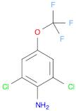 2,6-Dichloro-4-(trifluoromethoxy)aniline