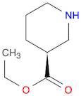 (S)-Ethyl piperidine-3-carboxylate