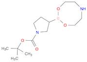 tert-Butyl 3-(1,3,6,2-dioxazaborocan-2-yl)pyrrolidine-1-carboxylate