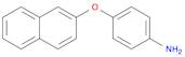 2-(4-aminophenoxy)naphthalene