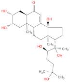 (2β,3β,5β,22R)-2,3,14,20,22,25-Hexahydroxycholest-7-en-6-one