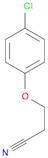 3-(4-Chlorophenoxy)propionitrile