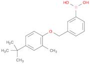 (3-((4-(tert-Butyl)-2-methylphenoxy)methyl)phenyl)boronic acid