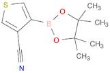 4-(4,4,5,5-Tetramethyl-1,3,2-dioxaborolan-2-yl)thiophene-3-carbonitrile