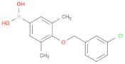(4-((3-Chlorobenzyl)oxy)-3,5-dimethylphenyl)boronic acid