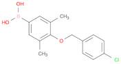 (4-((4-Chlorobenzyl)oxy)-3,5-dimethylphenyl)boronic acid
