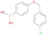 (4-((4-Chlorobenzyl)oxy)phenyl)boronic acid
