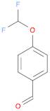 4-(Difluoromethoxy)benzaldehyde