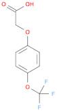 2-(4-(Trifluoromethoxy)phenoxy)acetic acid