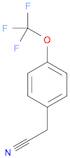 2-(4-(Trifluoromethoxy)phenyl)acetonitrile