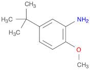 5-(tert-Butyl)-2-methoxyaniline