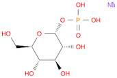 α-D-GLUCOSE-1-PHOSPHATE NA2-SALT