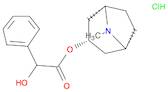 8-Methyl-8-azabicyclo[3.2.1]octan-3-yl 2-hydroxy-2-phenylacetate hydrochloride
