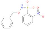 N-(Benzyloxy)-2-nitrobenzenesulfonaMide
