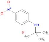 N-t-Butyl 2-bromo-4-nitroaniline