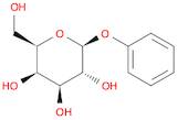 Phenyl b-D-galactoside