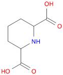 Piperidine-2,6-dicarboxylic acid