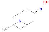 9-Methyl-9-azabicyclo[3.3.1]nonan-3-one oxime