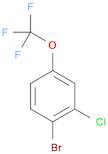 2-Chloro-4-(Trifluoromethoxy)Bromobenzene