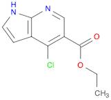 Ethyl 4-chloro-1H-pyrrolo[2,3-b]pyridine-5-carboxylate