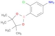 4-Amino-2-chlorophenylboronic acid, pinacol ester