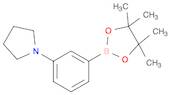 1-(3-(4,4,5,5-Tetramethyl-1,3,2-dioxaborolan-2-yl)phenyl)pyrrolidine