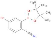 4-BROMO-2-(4,4,5,5-TETRAMETHYL-1,3,2-DIOXABOROLAN-2-YL) BENZONITRILE