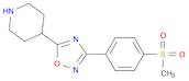 4-{3-[4-(METHYLSULFONYL)PHENYL]-1,2,4-OXADIAZOL-5-YL}PIPERIDINE