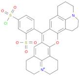 Sulforhodamine 101 acid chloride