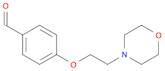 4-(2-Morpholinoethoxy)benzaldehyde