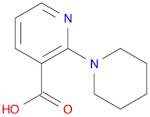 2-PIPERIDIN-1-YLNICOTINIC ACID