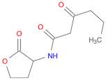 8-(ethylsulfanyl)-3,7-dihydro-1h-purine-2,6-dione