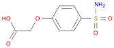 sulfonamidophenoxyacetic acid