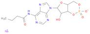 N6-Monobutyryladenosine 3':5'-cyclic monophosphate sodium salt