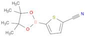 5-(4,4,5,5-Tetramethyl-1,3,2-dioxaborolan-2-yl)thiophene-2-carbonitrile