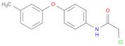 2-CHLORO-N-[4-(3-METHYLPHENOXY)PHENYL]ACETAMIDE