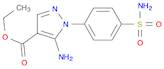 1H-Pyrazole-4-carboxylicacid, 5-amino-1-[4-(aminosulfonyl)phenyl]-, ethyl ester
