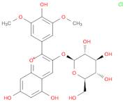 Oenin chloride