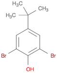 2,6-Dibromo-4-(tert-butyl)phenol