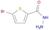 5-Bromothiophene-2-carbohydrazide