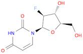 1-(2-Deoxy-2-fluoro-b-D-arabinofuranosyl)uracil