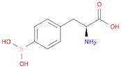 (S)-2-Amino-3-(4-boronophenyl)propanoic acid