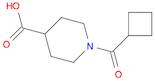 1-(cyclobutylcarbonyl)piperidine-4-carboxylic acid