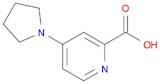 2-Pyridinecarboxylicacid, 4-(1-pyrrolidinyl)-