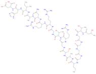 PKI (5-24), PKA Inhibitor