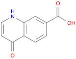 4-Oxo-1,4-dihydroquinoline-7-carboxylic acid