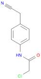 2-CHLORO-N-[4-(CYANOMETHYL)PHENYL]ACETAMIDE