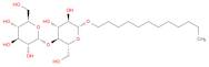N-Dodecyl b-D-maltoside